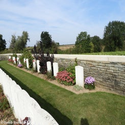 07TenTreeAlleyCemeterydi21sep21.jpg