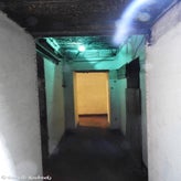 11bunkerdagzo5jun22.jpg