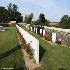 08TenTreeAlleyCemeterydi21sep21.jpg