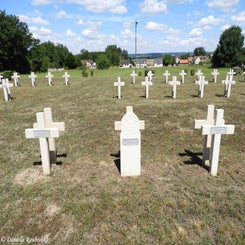 30cutsfma4jul22.jpg