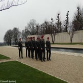 06MargratenRosettes.jpg