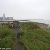 62bunkerdagzo5jun22.jpg
