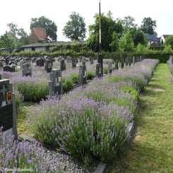 12HechtelCommunalvr9jul21.jpg