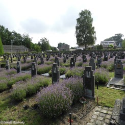 03HechtelCommunalvr9jul21.jpg