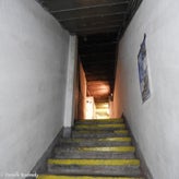 02bunkerdagzo5jun22.jpg
