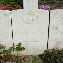 13TenTreeAlleyCemeterydi21sep21.jpg