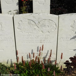 23TenTreeAlleyCemeterydi21sep21.jpg