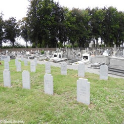 31VisComCemdo5sep19.jpg