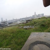 60bunkerdagzo5jun22.jpg