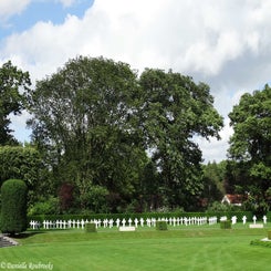 26FlandersField.jpg