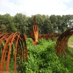 58Vredesbos26sep17.jpg