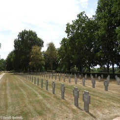 07ManicourtDdo23jul20.jpg