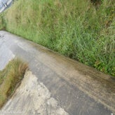 90bunkerdagzo5jun22.jpg