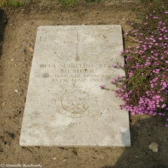 16WimereuxComCemdo2mei19.jpg