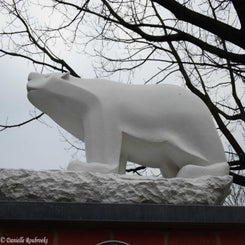 09PolarBear.jpg
