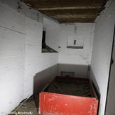 81bunkerdagzo5jun22.jpg