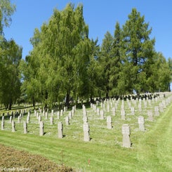 65NoyersD.jpg