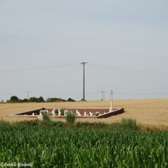 01SunkenRoad2ndCanadianContalmaisonwoe17jul19.jpg