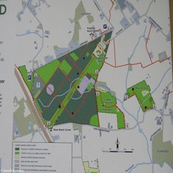 53Vredesbos26sep17.jpg
