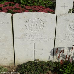 44TenTreeAlleyCemeterydi21sep21.jpg