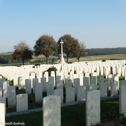 35DantzigAlleyBCzo2sep18.jpg