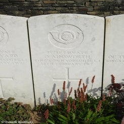 55TenTreeAlleyCemeterydi21sep21.jpg