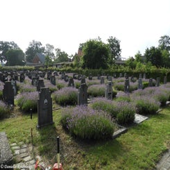 02HechtelCommunalvr9jul21.jpg