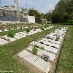 50WimereuxComCemdo2mei19.jpg