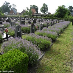 14HechtelCommunalvr9jul21.jpg