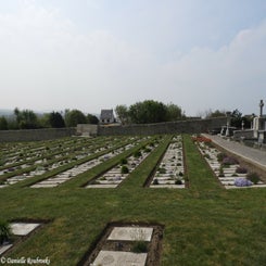 06WimereuxComCemdo2mei19.jpg