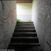99bunkerdagzo5jun22.jpg