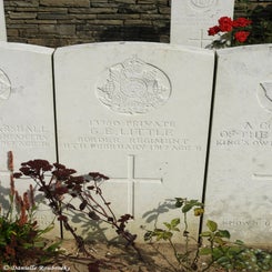 38TenTreeAlleyCemeterydi21sep21.jpg