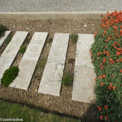 08WimereuxComCemdo2mei19.jpg