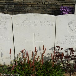 51TenTreeAlleyCemeterydi21sep21.jpg