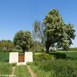 04RookeryBCwoe15mei19.jpg
