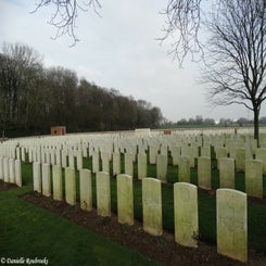 14TilloyBritdi6feb18.jpg