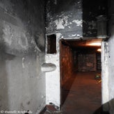13bunkerdagzo5jun22.jpg
