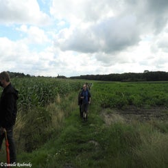 13Ieperwandelingza31jul21.jpg