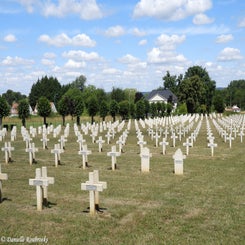 24cutsfma4jul22.jpg