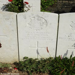 28TenTreeAlleyCemeterydi21sep21.jpg