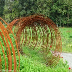 46Vredesbos26sep17.jpg