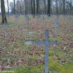 23StLaurentBlangyDdi27ma18.jpg