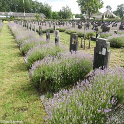 16HechtelCommunalvr9jul21.jpg