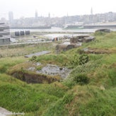 63bunkerdagzo5jun22.jpg