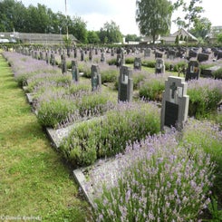 17HechtelCommunalvr9jul21.jpg