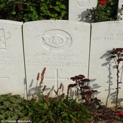 31TenTreeAlleyCemeterydi21sep21.jpg