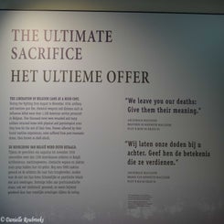 37FlandersField.jpg