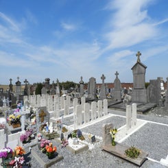 02TaintigniesComzo18apr21.jpg