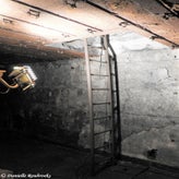 14bunkerdagzo5jun22.jpg