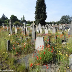 02BoufflioulxCommunaldi15jun21.jpg